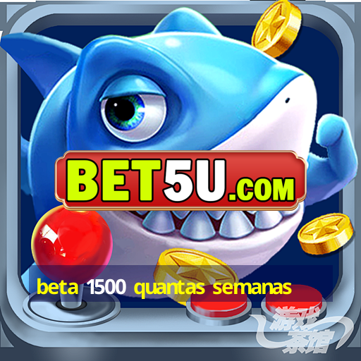 beta 1500 quantas semanas