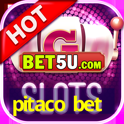 pitaco bet